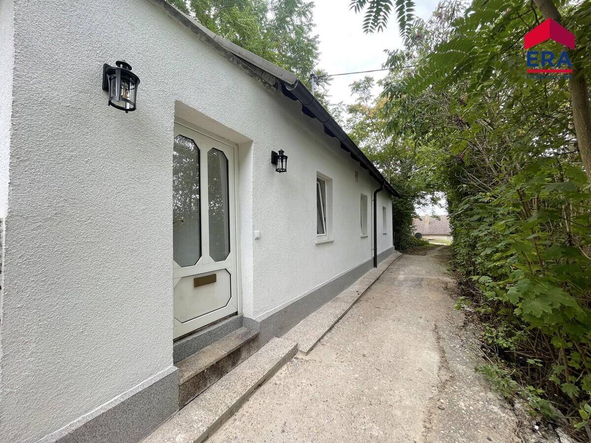 Eingangsbereich des Hauses mit weißer Tür und Laternen, umgeben von grünen Bäumen.