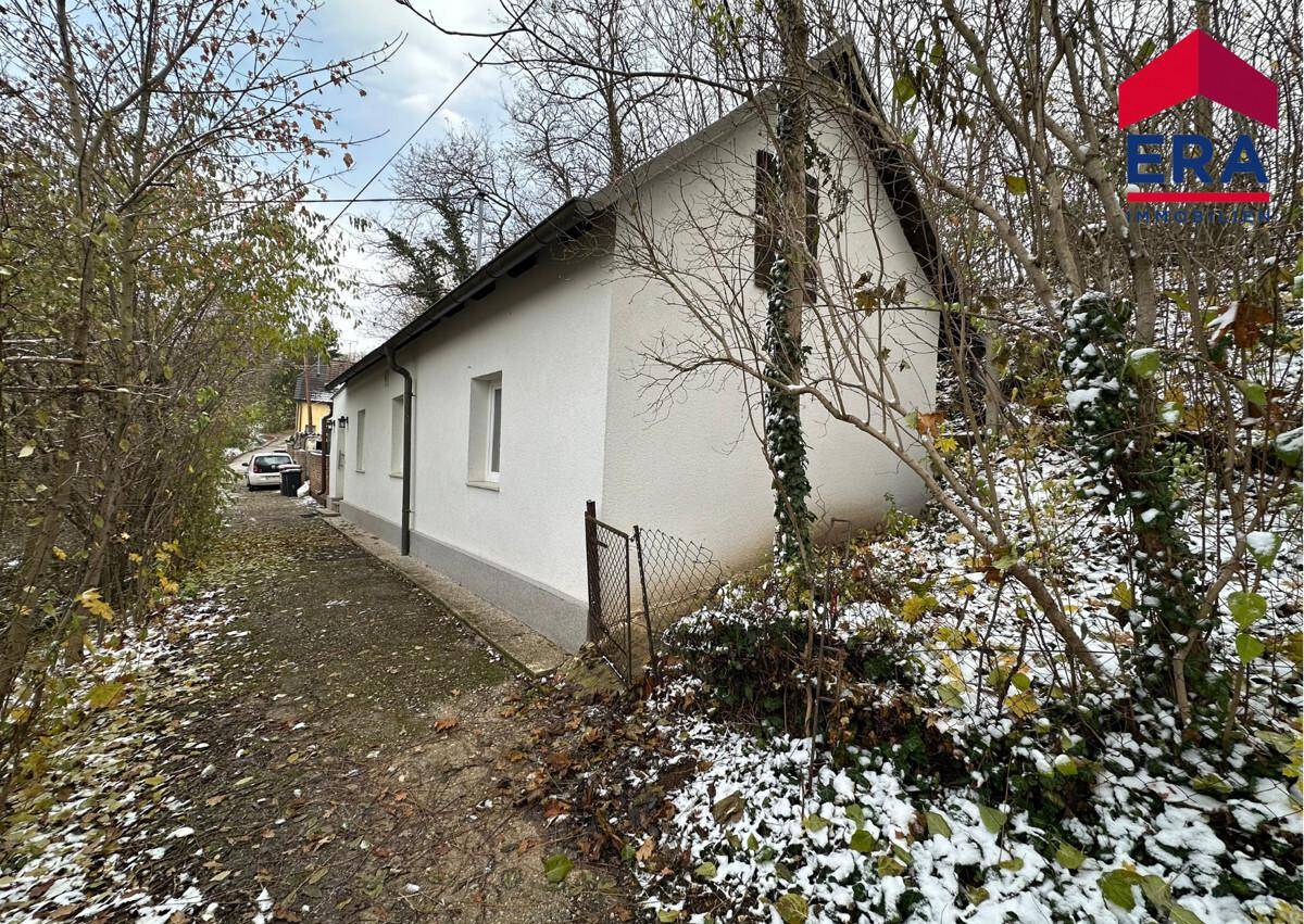 Seitenansicht des Hauses im Winter mit leichtem Schneefall und kahlen Bäumen.