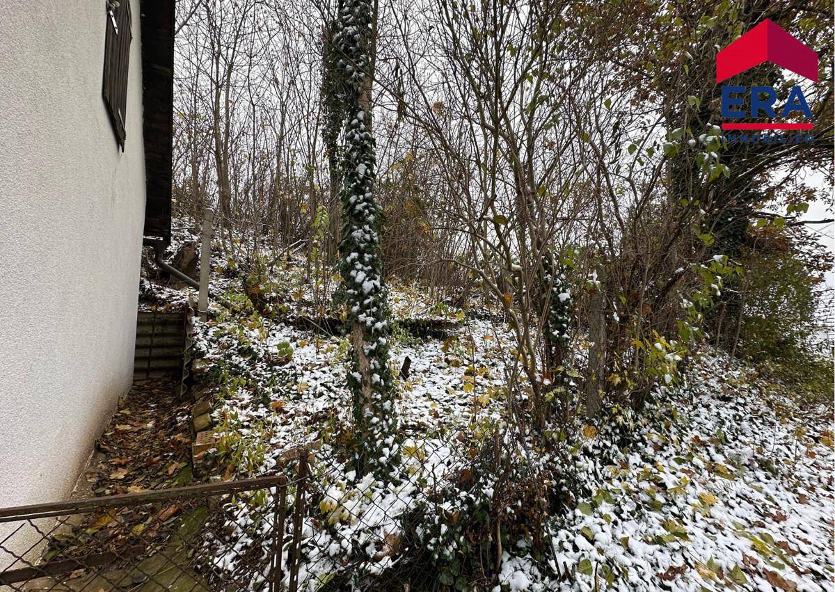 Winterlicher Gartenbereich mit leichtem Schneefall und kahlen Bäumen, umgeben von Natur.