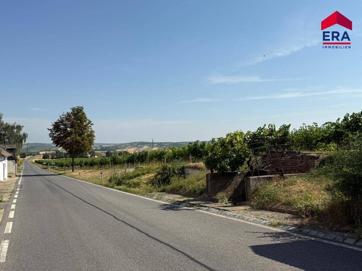 Ländliche Straße mit angrenzendem Weinberg und weitem Blick über die hügelige Landschaft.