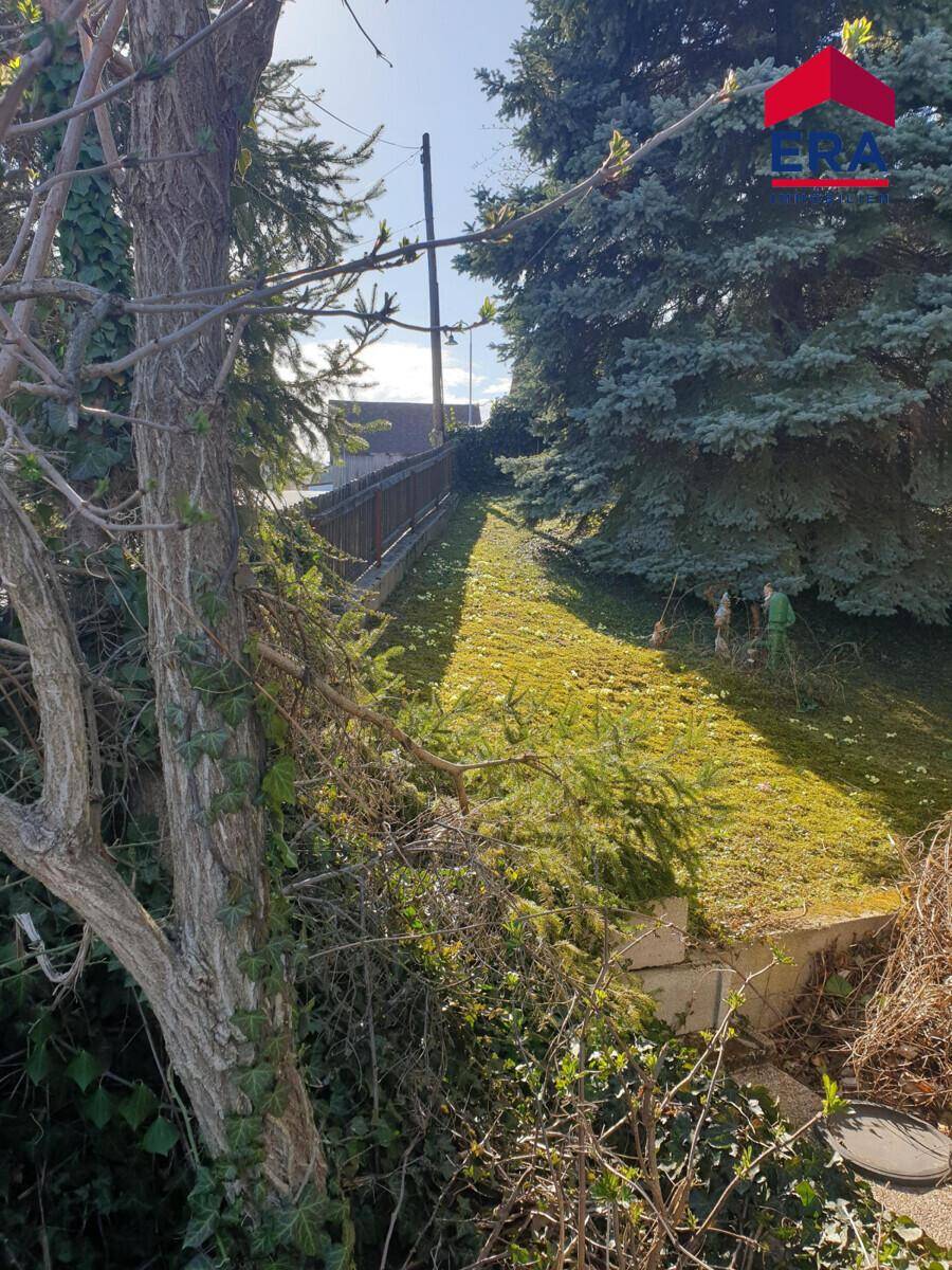 Abfallender Gartenbereich mit Bäumen, Sträuchern und einer natürlichen, unberührten Landschaft.