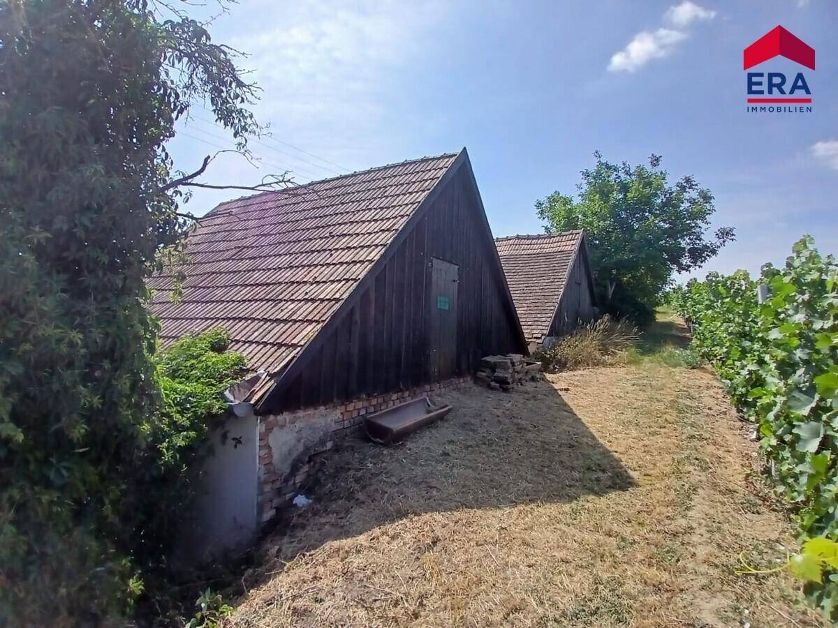 Zwei ländliche Gebäude mit Ziegeldächern am Rande eines Weinbergs unter strahlendem Himmel.