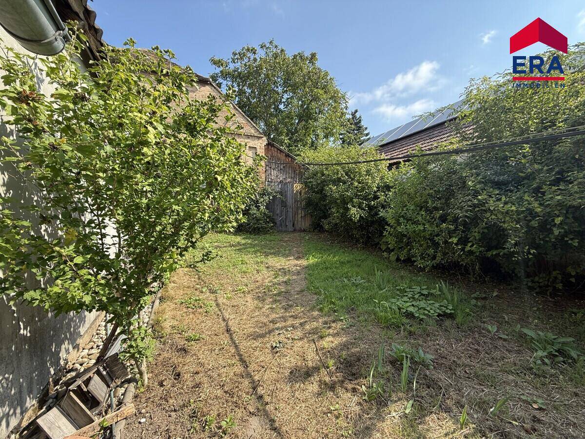 Grüner Gartenbereich mit Bäumen und Sträuchern, umgeben von älteren Gebäuden.