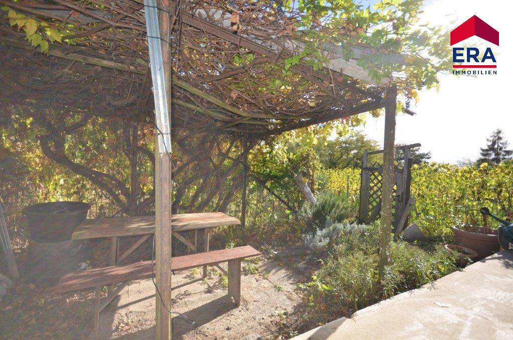 Gemütlicher Außenbereich unter einer bewachsenen Pergola mit Holztisch und Weinbergblick.