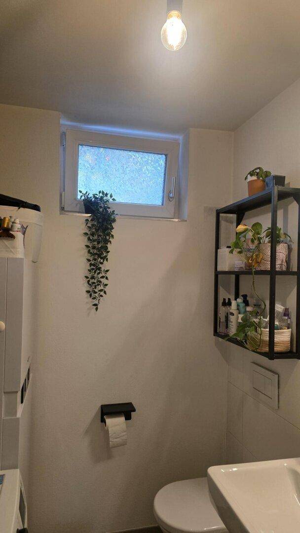 Kleines Gäste-WC mit Fenster, Toilette und Waschbecken, dekoriert mit Pflanzen auf einem Regal.