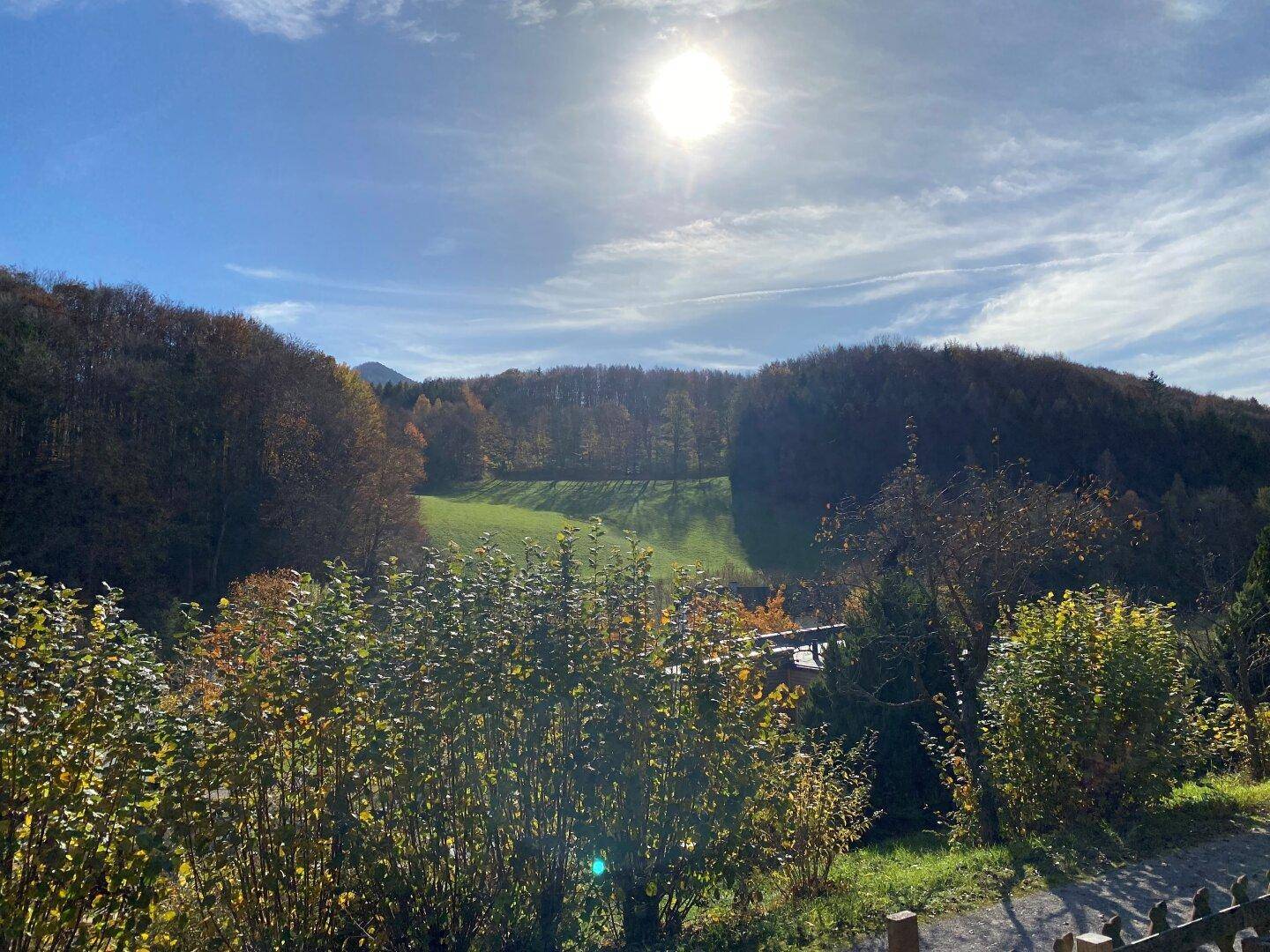Sonniger Ausblick auf die umliegende Hügellandschaft mit Wäldern und grünen Wiesen.