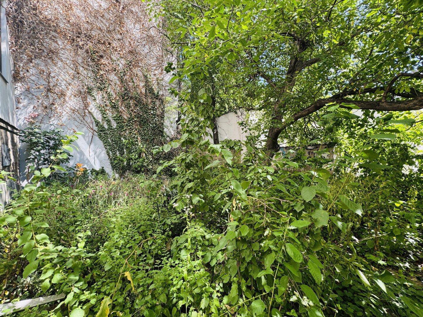 Üppig bewachsener Gartenbereich mit dichtem Grün und natürlicher Vegetation.