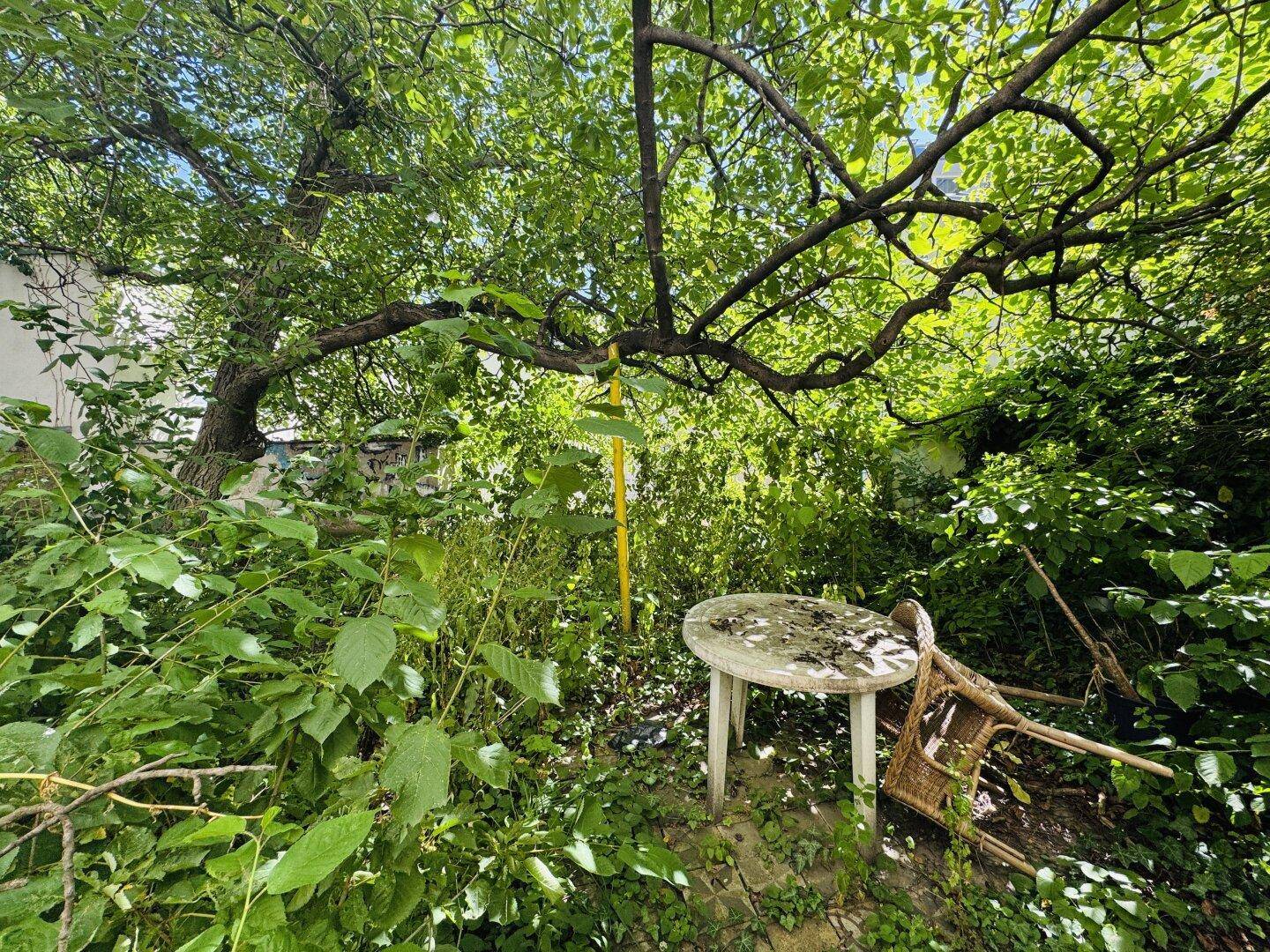 Naturbelassener Gartenbereich mit viel Grün und einem kleinen Tisch unter Bäumen.