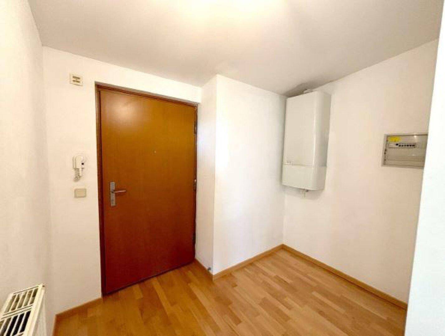 Eingangsbereich mit Holztür, Gegensprechanlage und Heizungsanlage, praktisch und übersichtlich gestaltet.