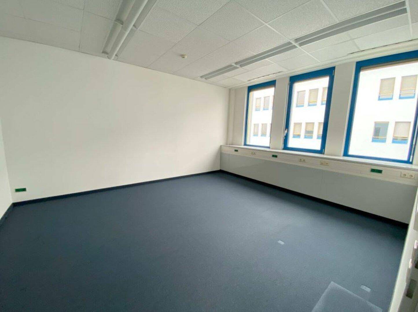 Leeres Büro mit drei großen Fenstern, blauem Teppichboden und weißen Wänden.