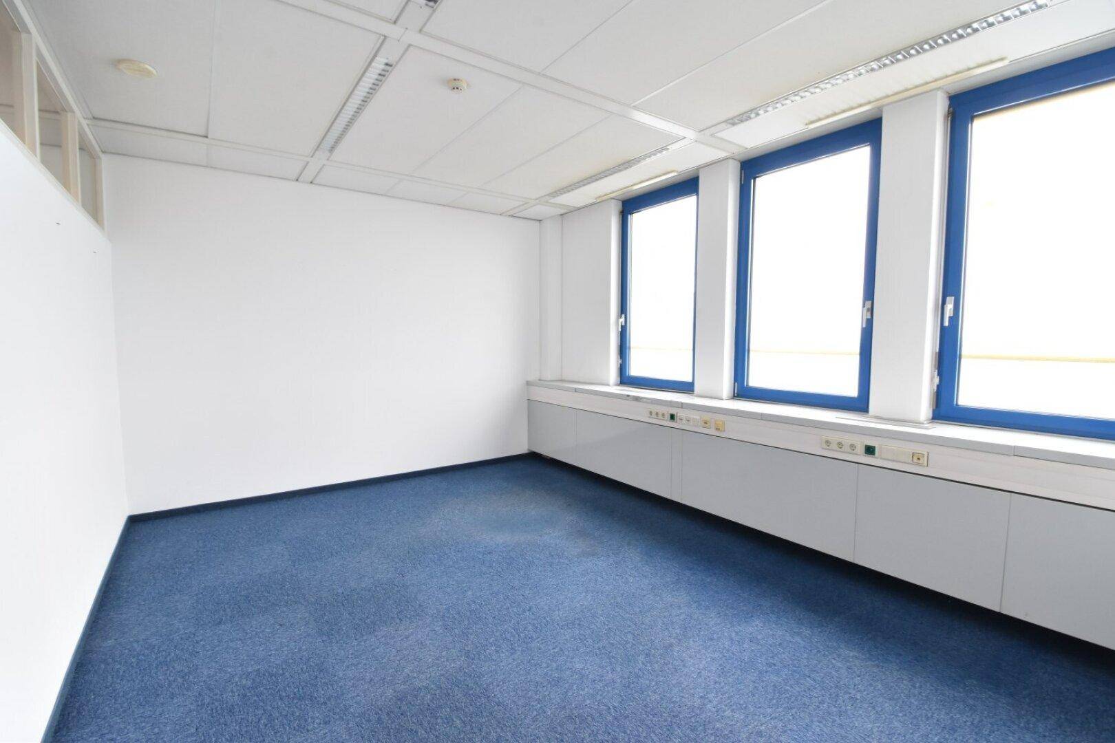 Modernes Büro mit blauem Teppichboden, weißen Wänden und einer Fensterfront, die viel Licht spendet.
