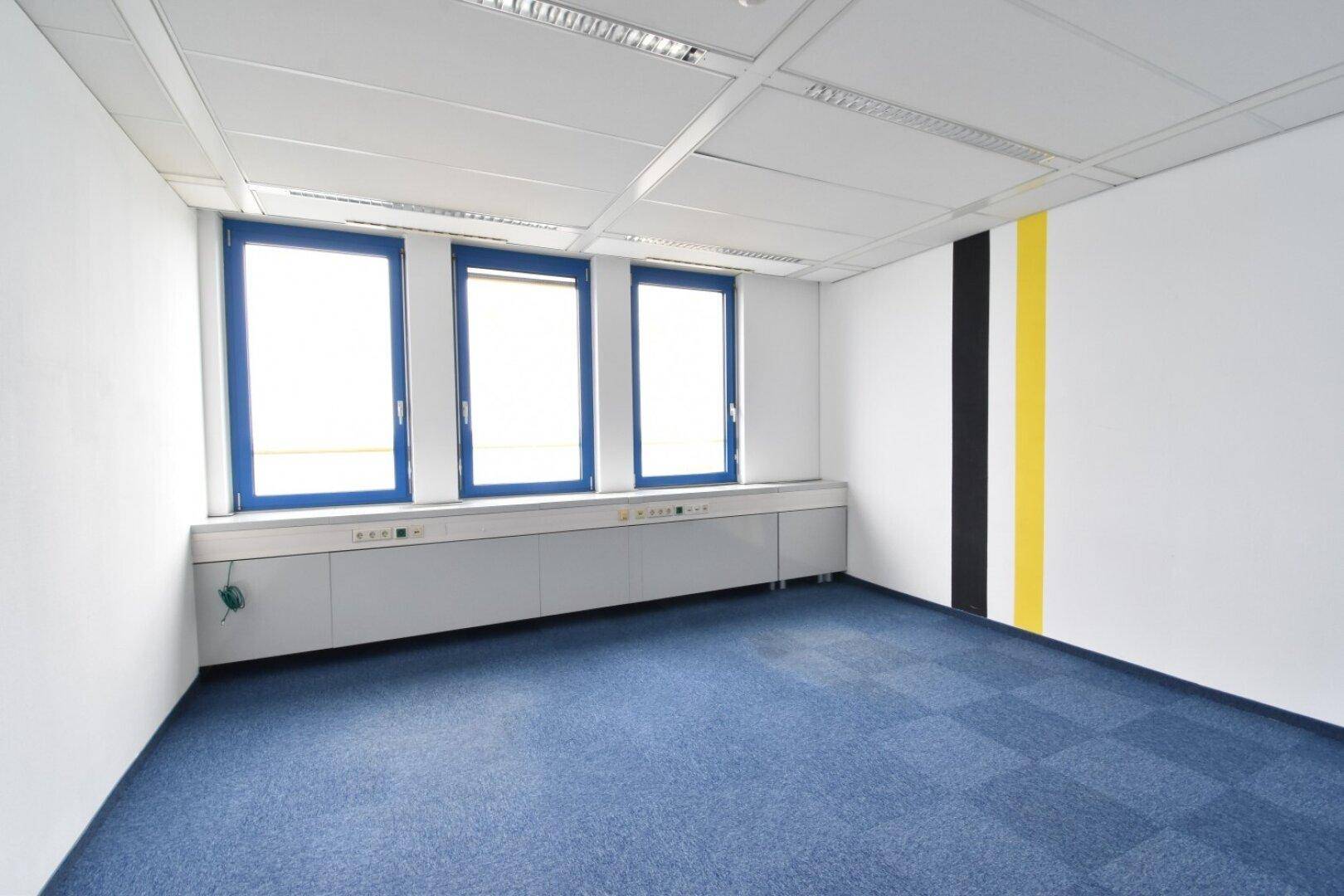 Helles Büro mit drei großen Fenstern, blauem Teppichboden und einer dekorativen gelben Wandleiste.
