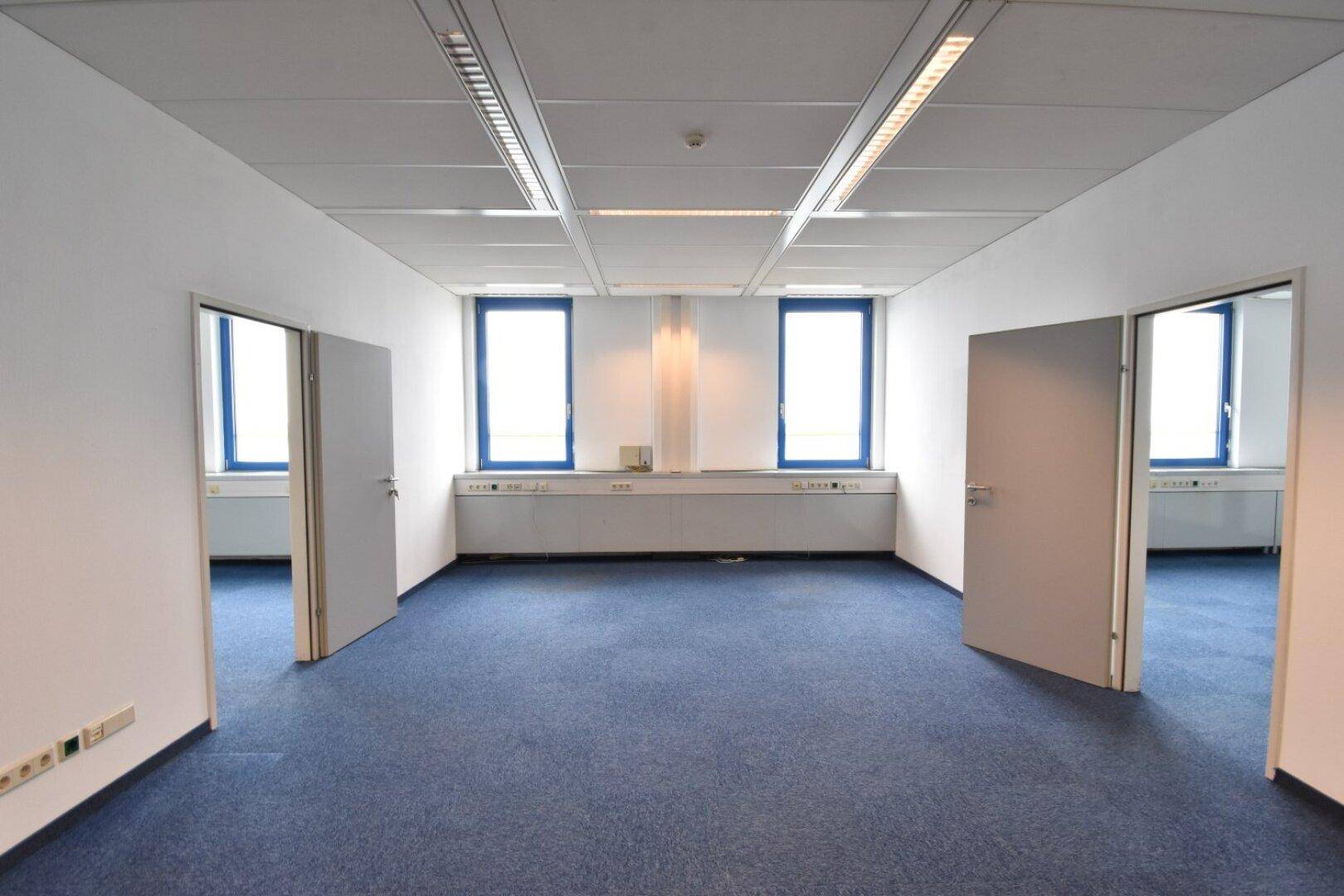 Großes, leeres Büro mit blauem Teppichboden, weißen Wänden und zwei Türen zu angrenzenden Räumen.