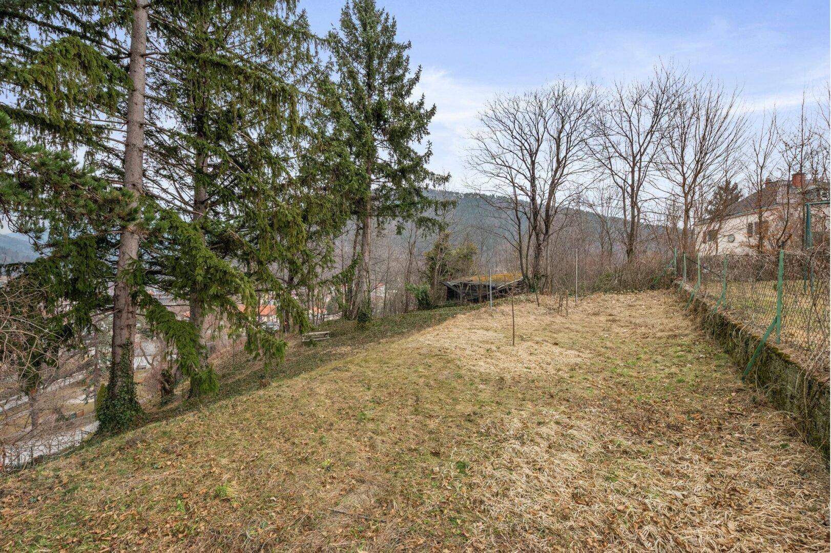 Großer, unbewirtschafteter Gartenbereich auf einem Hanggrundstück mit Blick auf die Umgebung.