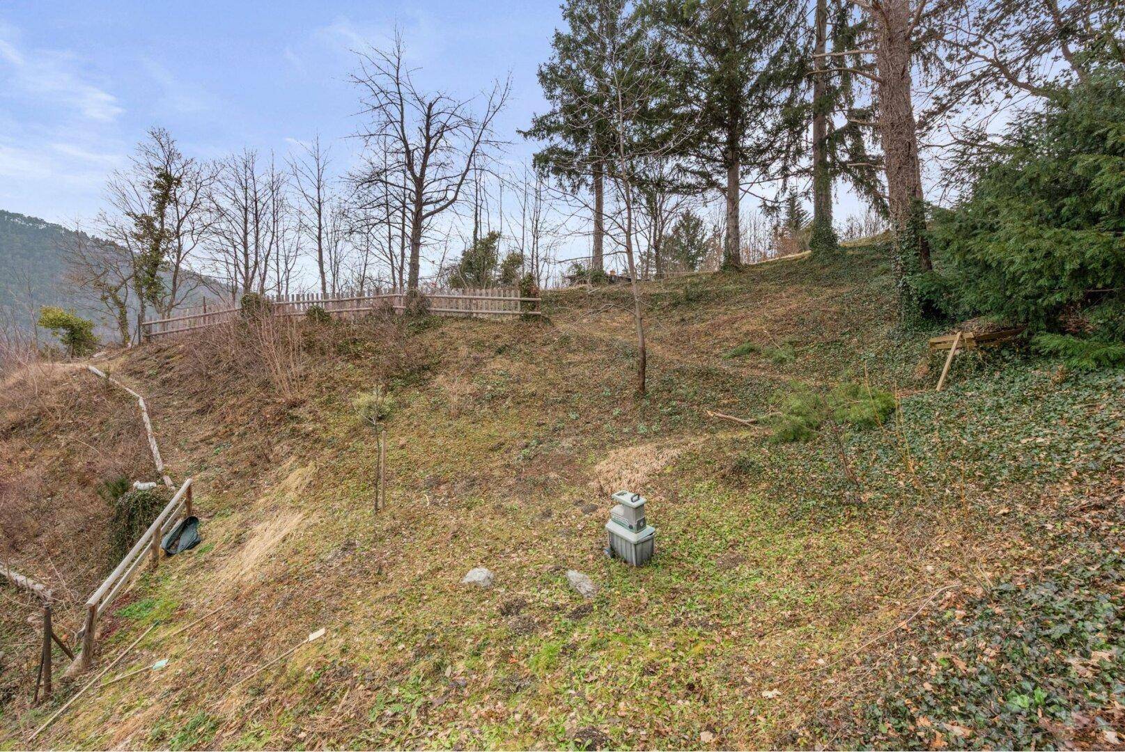 Hanglage mit Gras und Bäumen, umgeben von einer ländlichen Landschaft und einem Holzzaun.