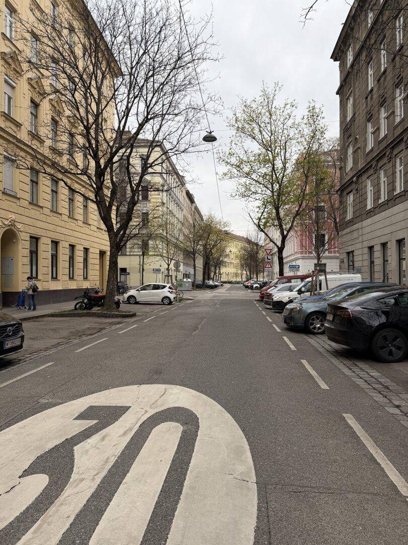 Ruhige Wohnstraße mit parkenden Autos, Bäumen und Altbauten unter bewölktem Himmel.
