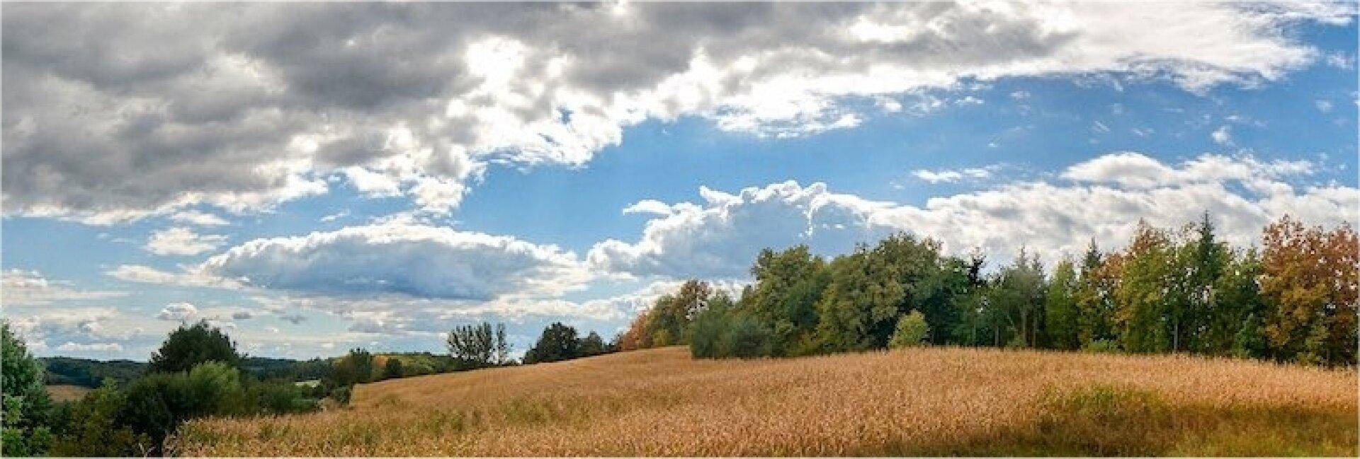 Baugrund in Ruhelage mit Anbindung an die S7 - Ansicht 5