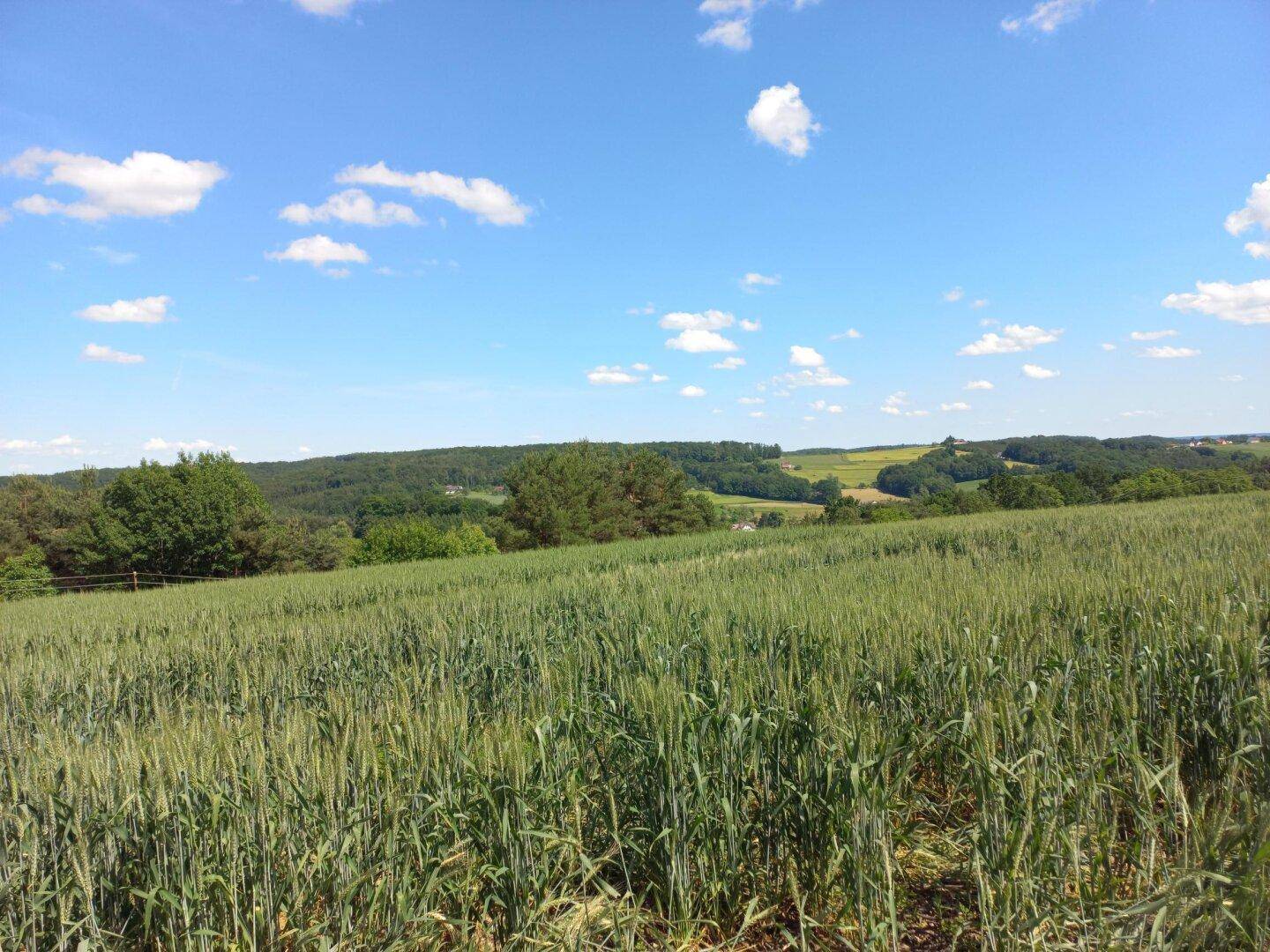 Baugrund in Ruhelage mit Anbindung an die S7 - Ansicht 2