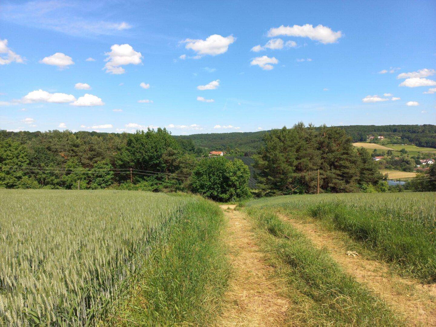 Baugrund in Ruhelage mit Anbindung an die S7 - Ansicht 3