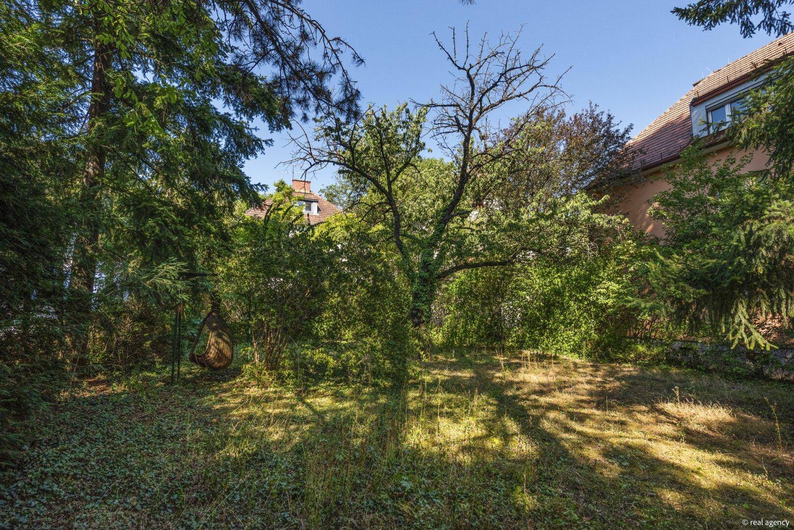 Verwilderter Gartenbereich mit hohen Bäumen und dichtem Buschwerk unter blauem Himmel.