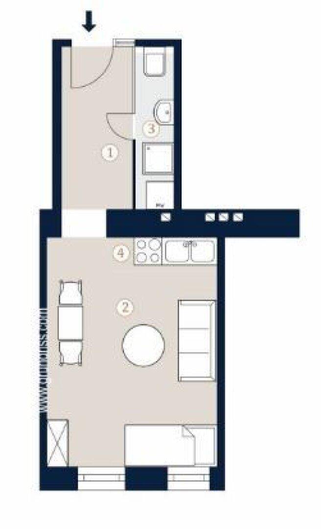 Grundriss einer kleinen Wohnung mit separatem Bad und offenem Wohn-Schlafbereich.