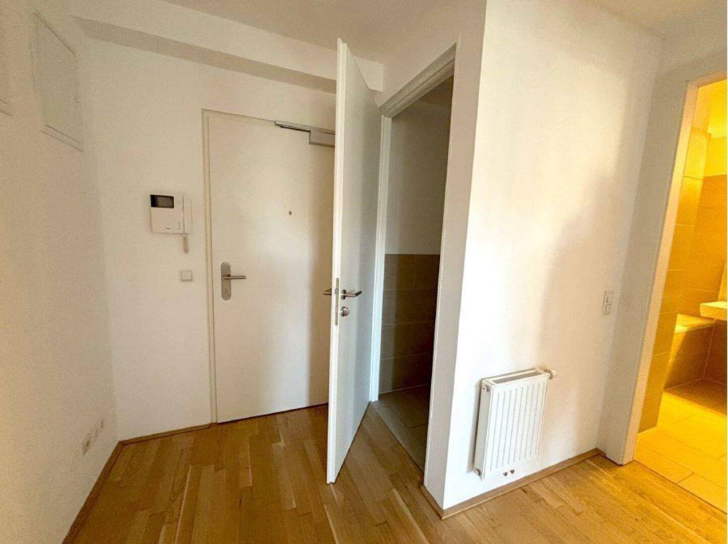 Heller Eingangsbereich mit Holzboden, weißer Tür und Heizkörper, der zu weiteren Räumen führt.