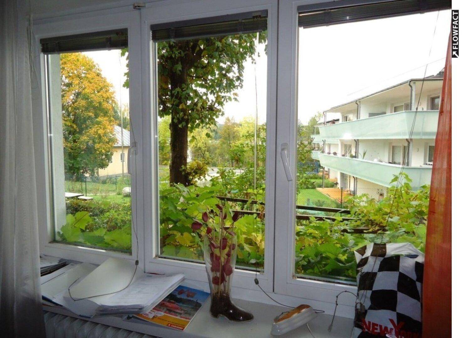 Blick in den Garten