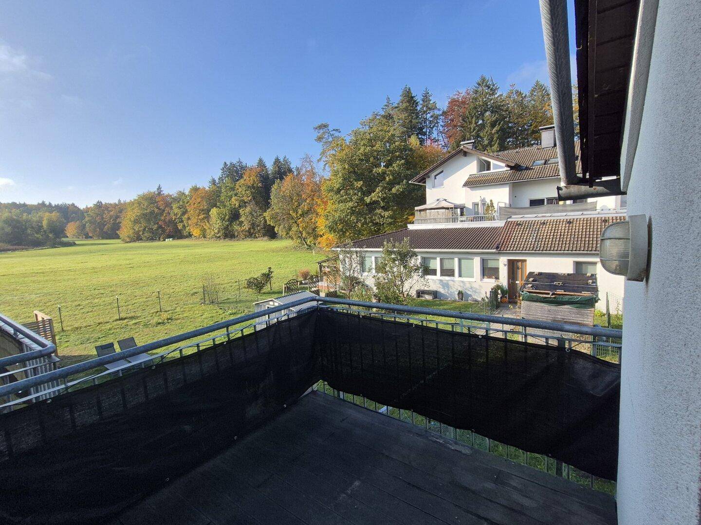 Balkon mit weitem Blick auf eine grüne Wiese und bewaldete Hügel unter blauem Himmel.