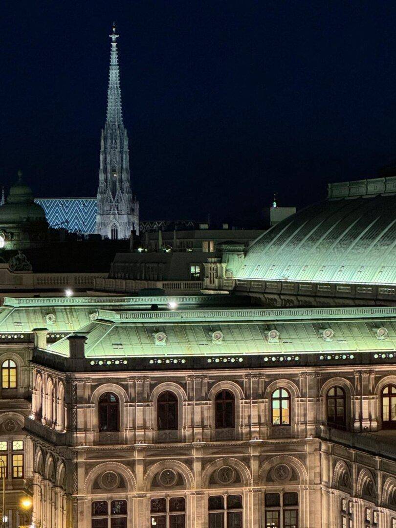 Historische Architektur bei Nacht mit beleuchtetem Dach und einem markanten Kirchturm am Horizont.
