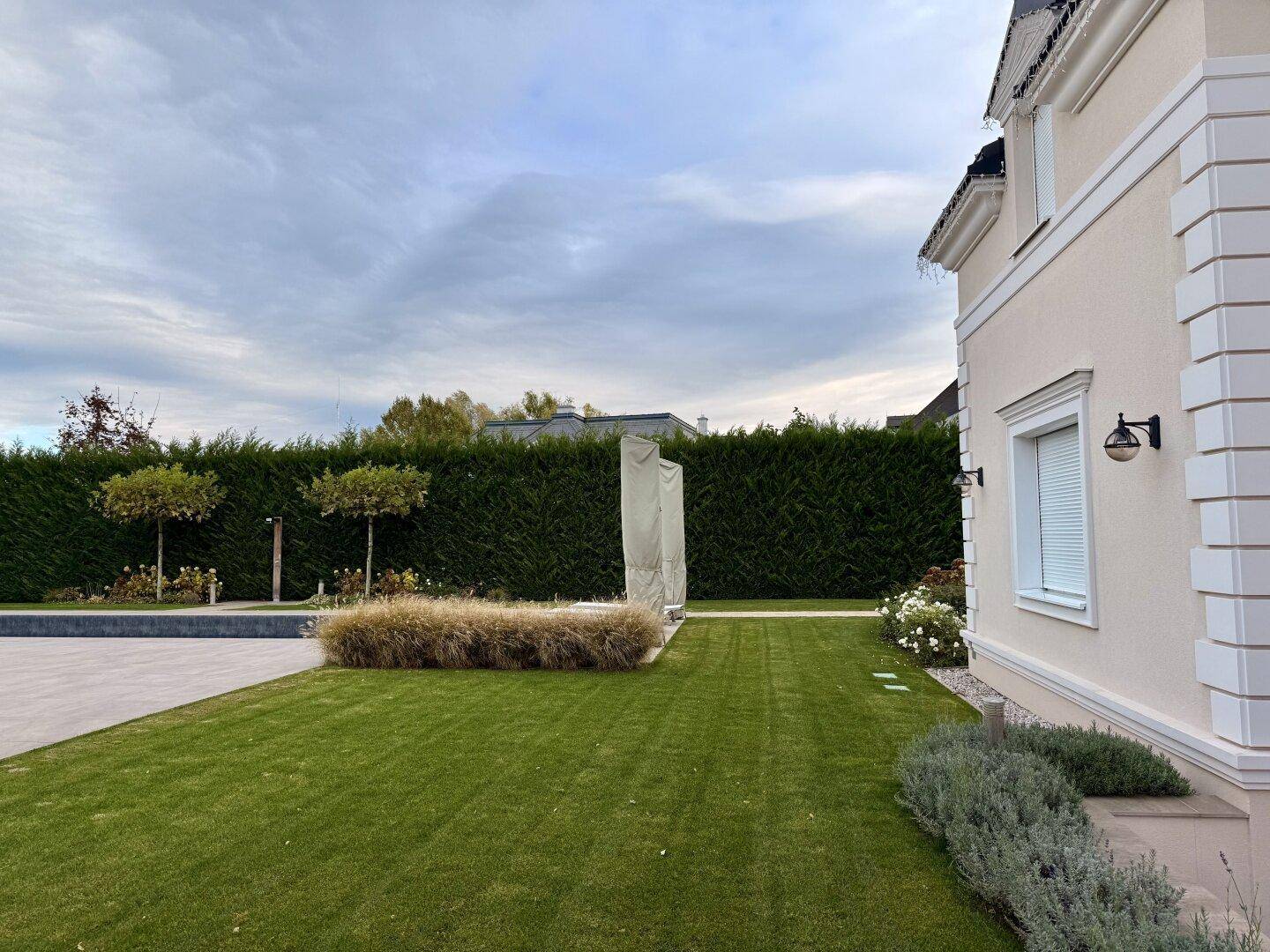 Gepflegter Rasenbereich mit hoher Hecke und dekorativen Pflanzen.