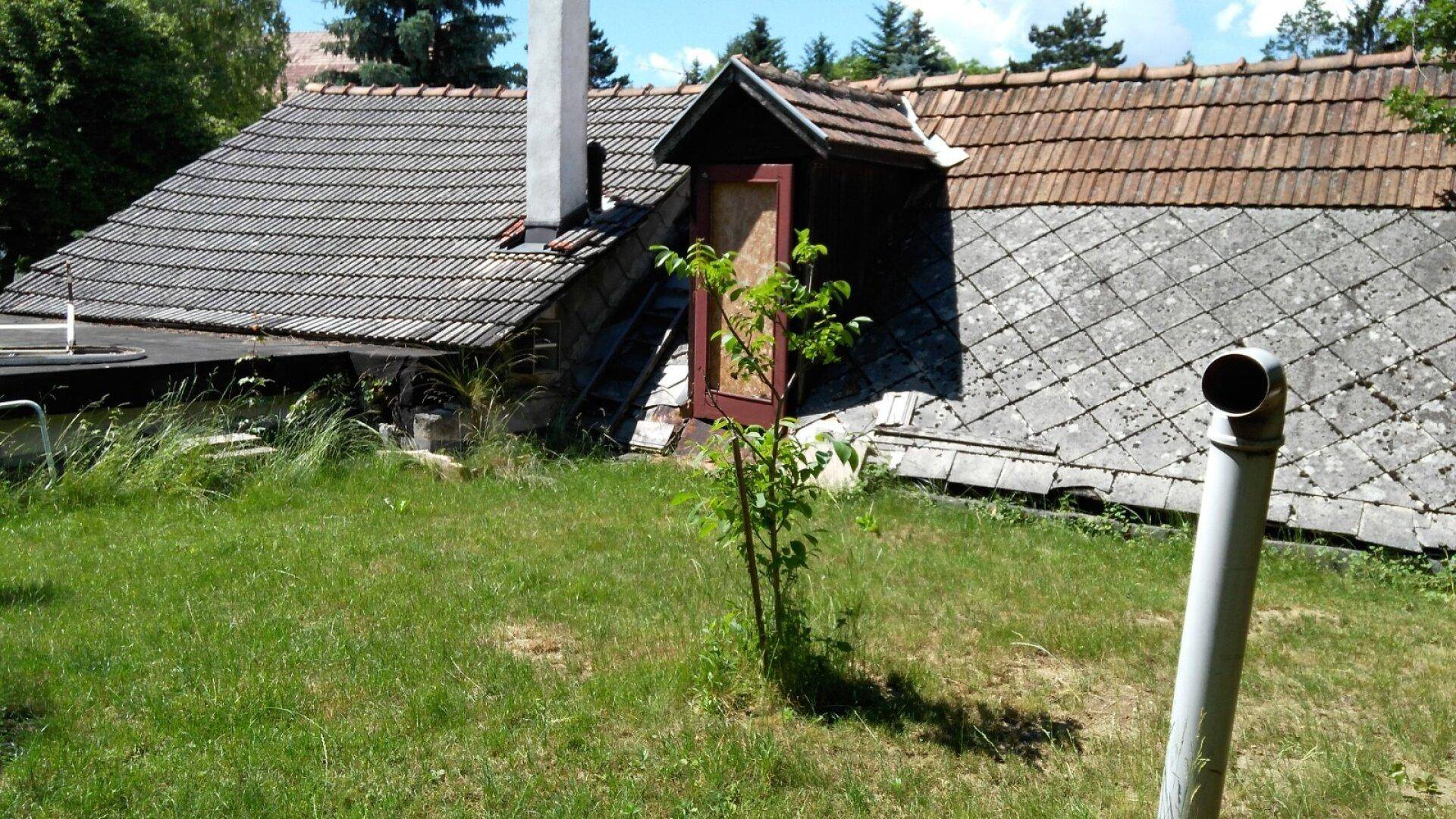 Blick auf das Ziegeldach eines älteren Gebäudes mit einem kleinen Baum und Grasfläche im Vordergrund.