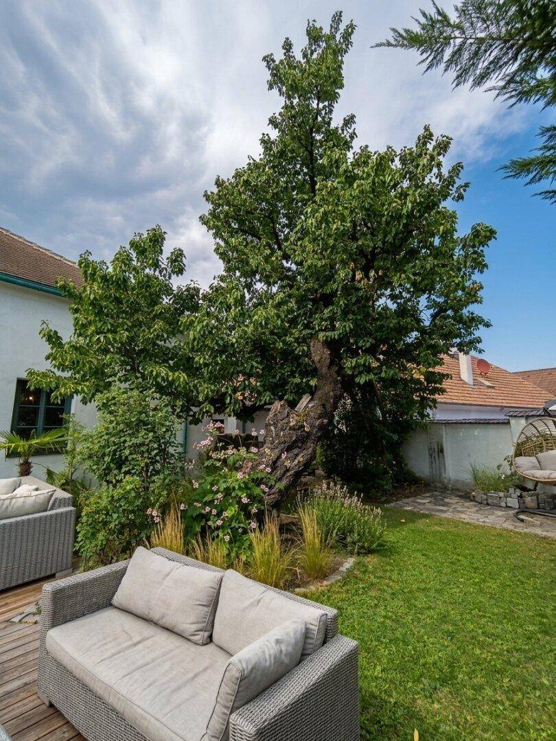Großer Garten mit altem Baum, Rasenfläche und bequemen Outdoor-Sitzmöbeln.