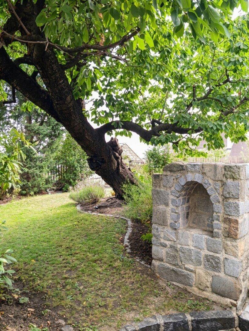 Grüner Gartenbereich mit altem Baum und einer dekorativen Steinnische in der Mauer.