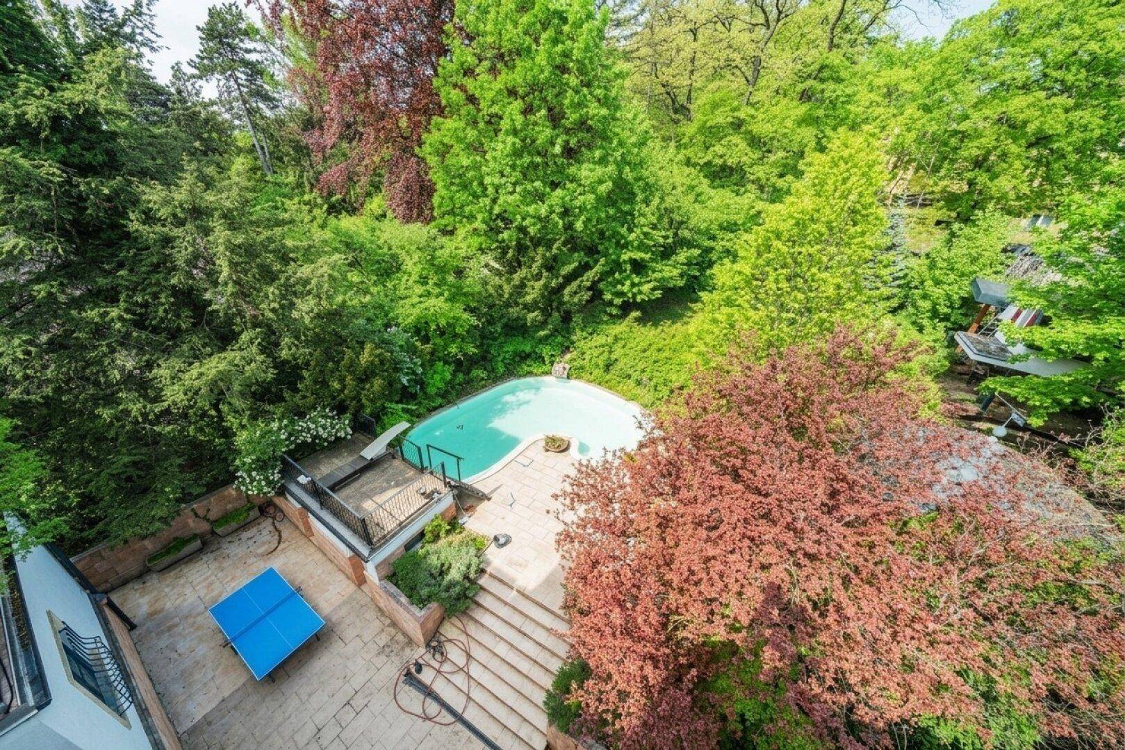 Vogelperspektive des Außenbereichs mit Swimmingpool, gepflasterter Terrasse und Tischtennisplatte, umgeben von Bäumen.