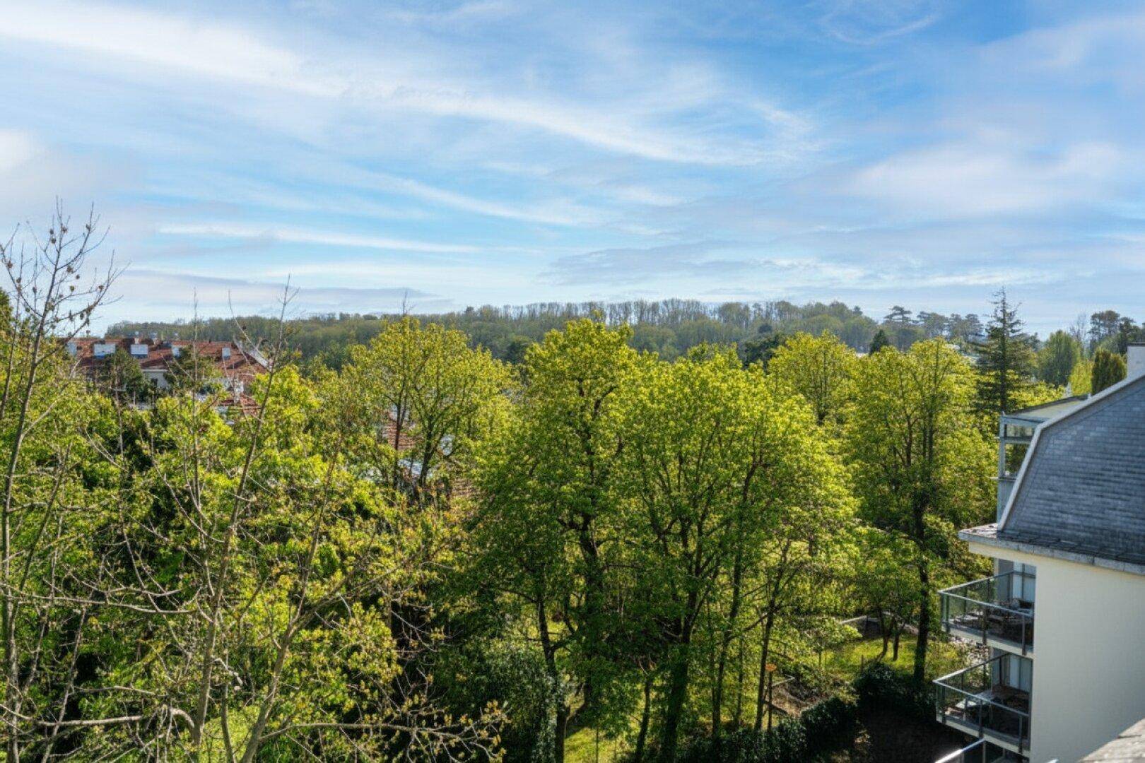 Weitläufiger Blick über grüne Baumwipfel und die umliegende Landschaft unter blauem Himmel.