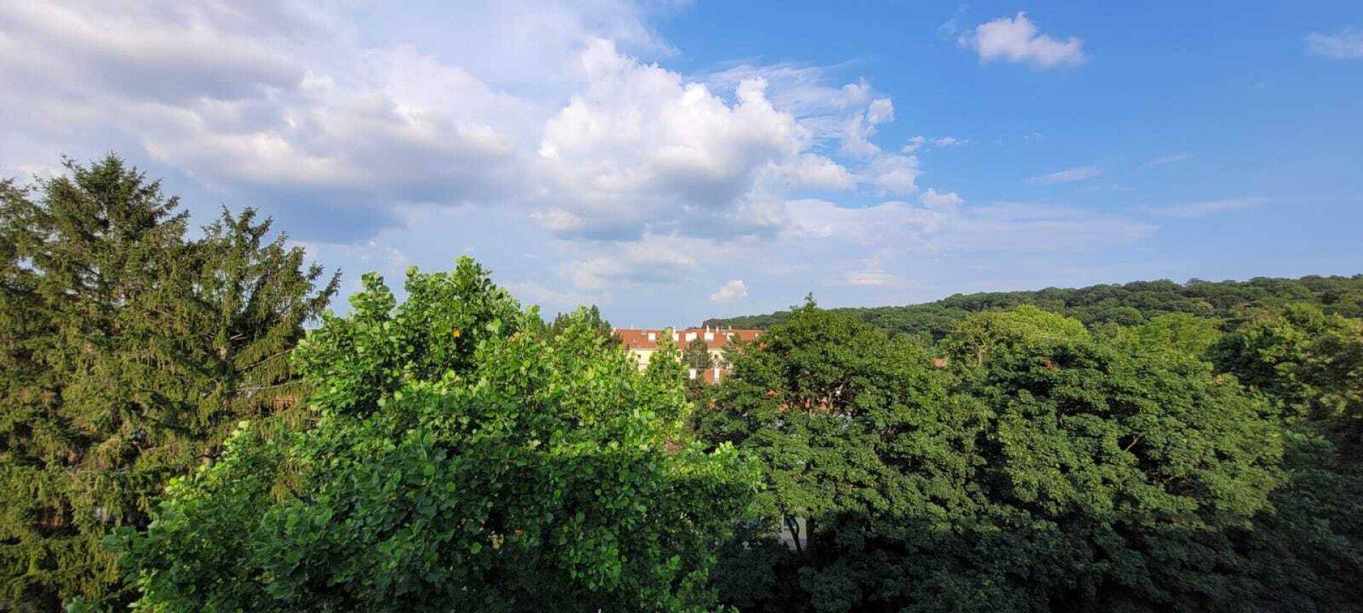 Panoramablick über grüne Wälder und Dächer unter einem weiten blauen Himmel.