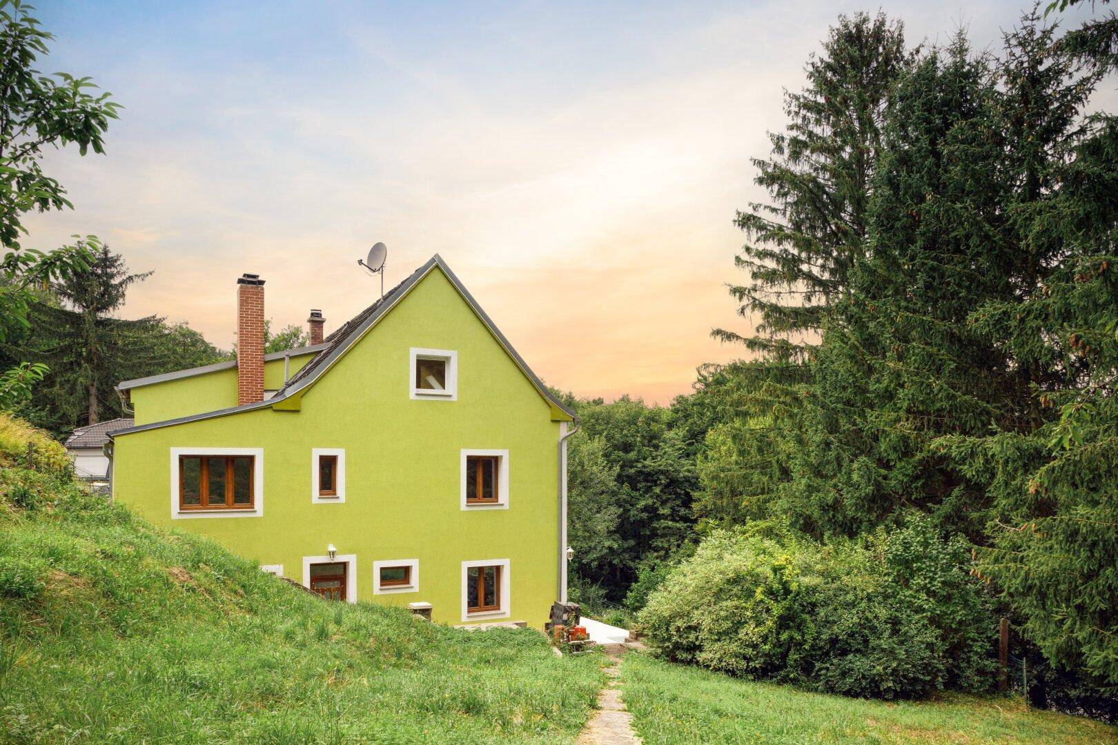 Grünes Haus mit Satteldach und braunen Fenstern, umgeben von üppiger Natur und Bäumen.
