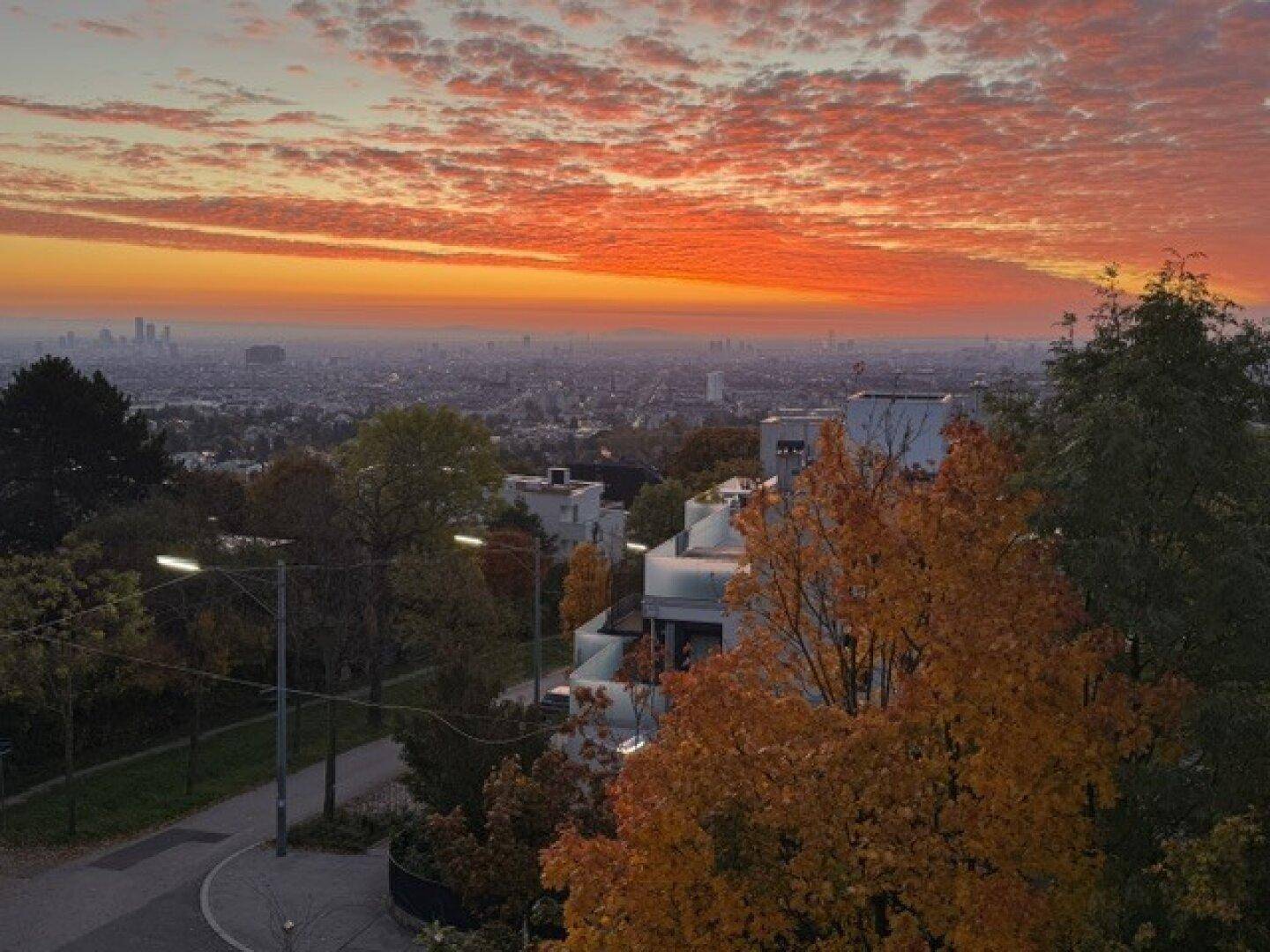 Panoramablick auf die Stadt bei Sonnenuntergang mit leuchtendem Himmel und herbstlichen Bäumen.