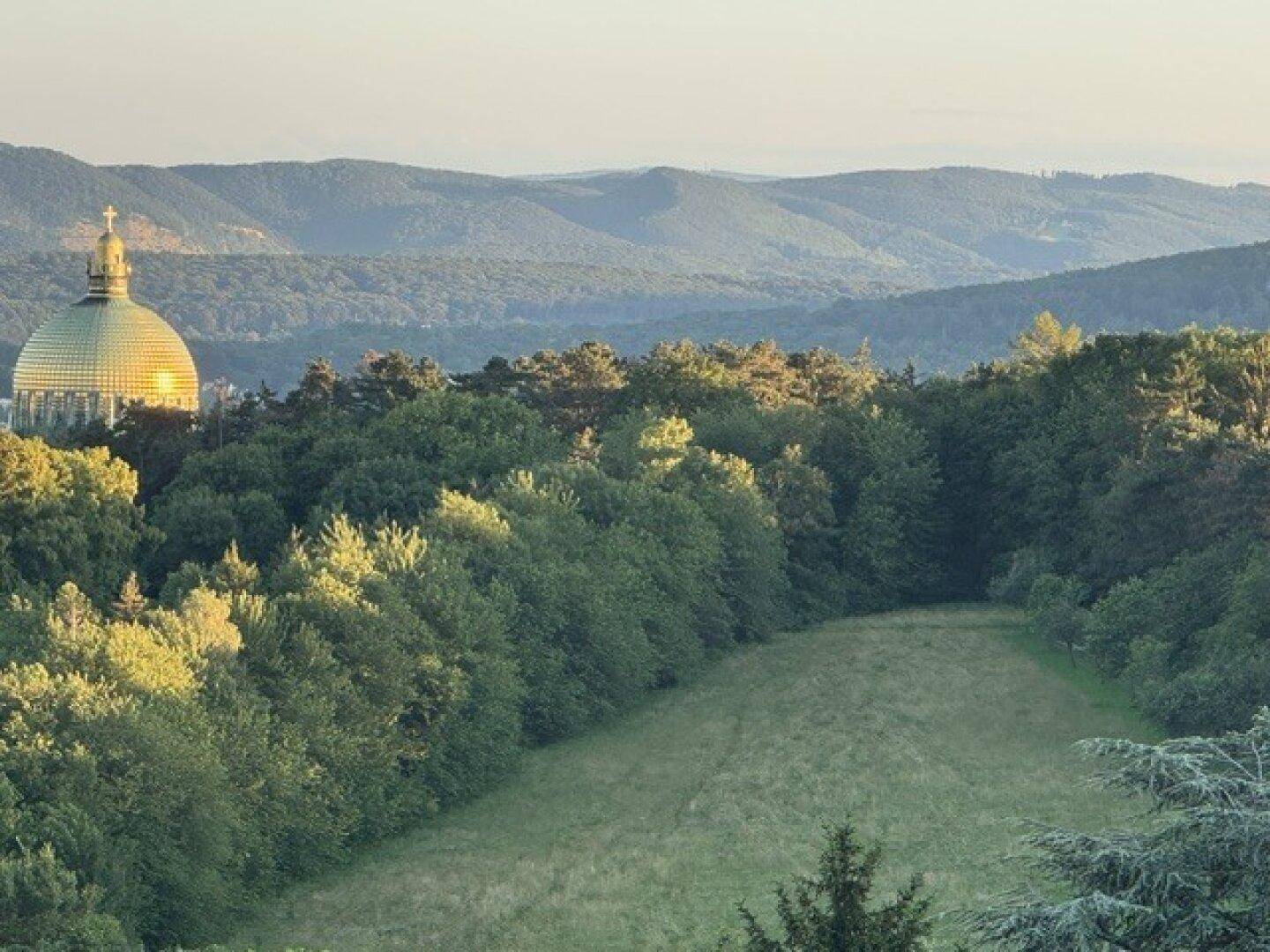 Malerischer Ausblick auf eine grüne Hügellandschaft mit Wald und einer goldenen Kuppel.