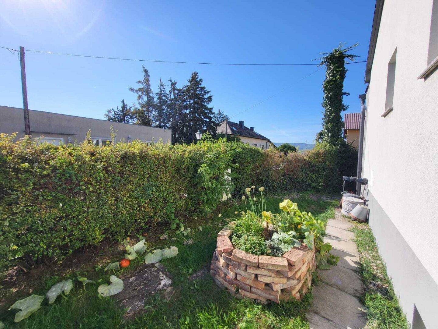 Seitlicher Gartenbereich mit Hecke, Rasen und einem runden Hochbeet aus Ziegeln.