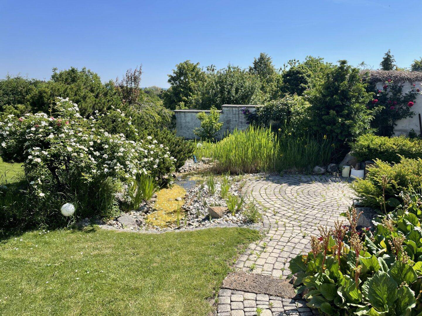 Idyllischer Gartenbereich mit Teich, gepflastertem Weg und vielfältiger Bepflanzung.