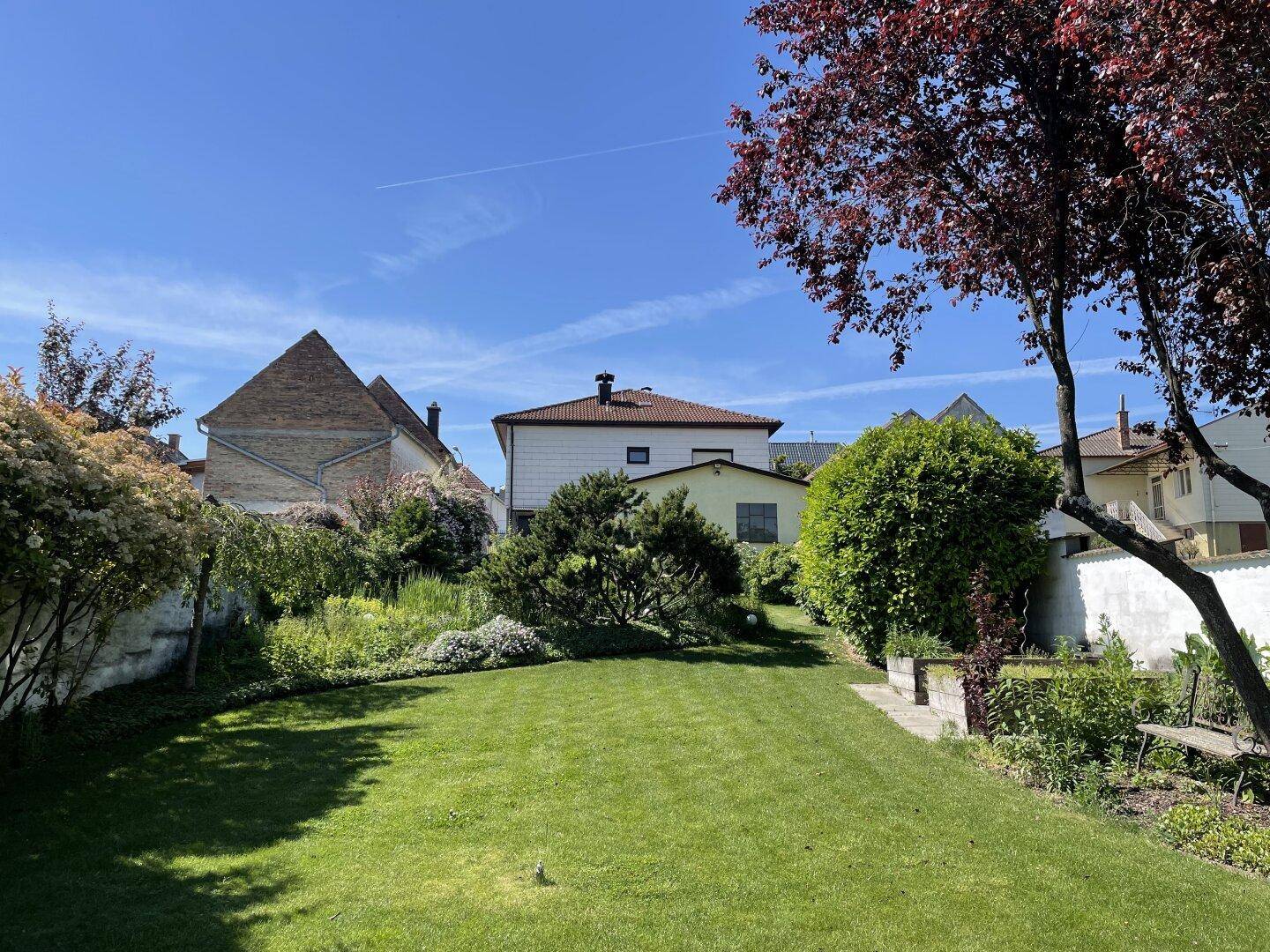 Hinterer Gartenbereich mit Rasenfläche, üppiger Bepflanzung und Blick auf das Haus.
