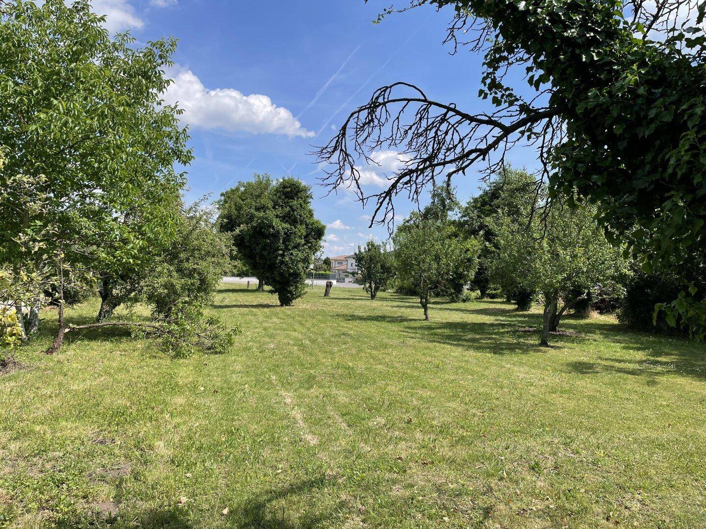 Großer, gepflegter Garten mit Rasenfläche und vielen Bäumen unter blauem Himmel.