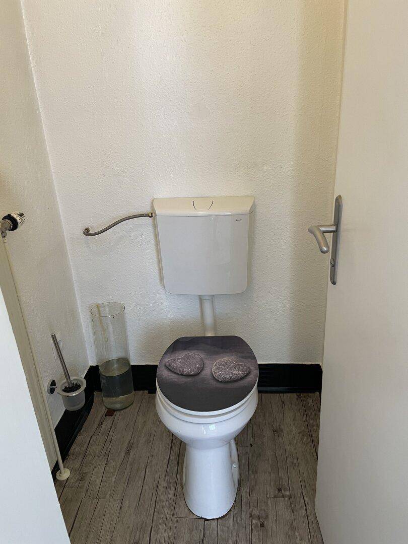 Separates WC mit Toilette, Spülkasten und Laminatboden in hellem Design.