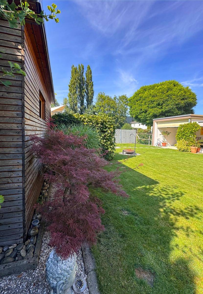 Seitlicher Gartenbereich mit Holzschuppen, Zierpflanzen und grüner Hecke.