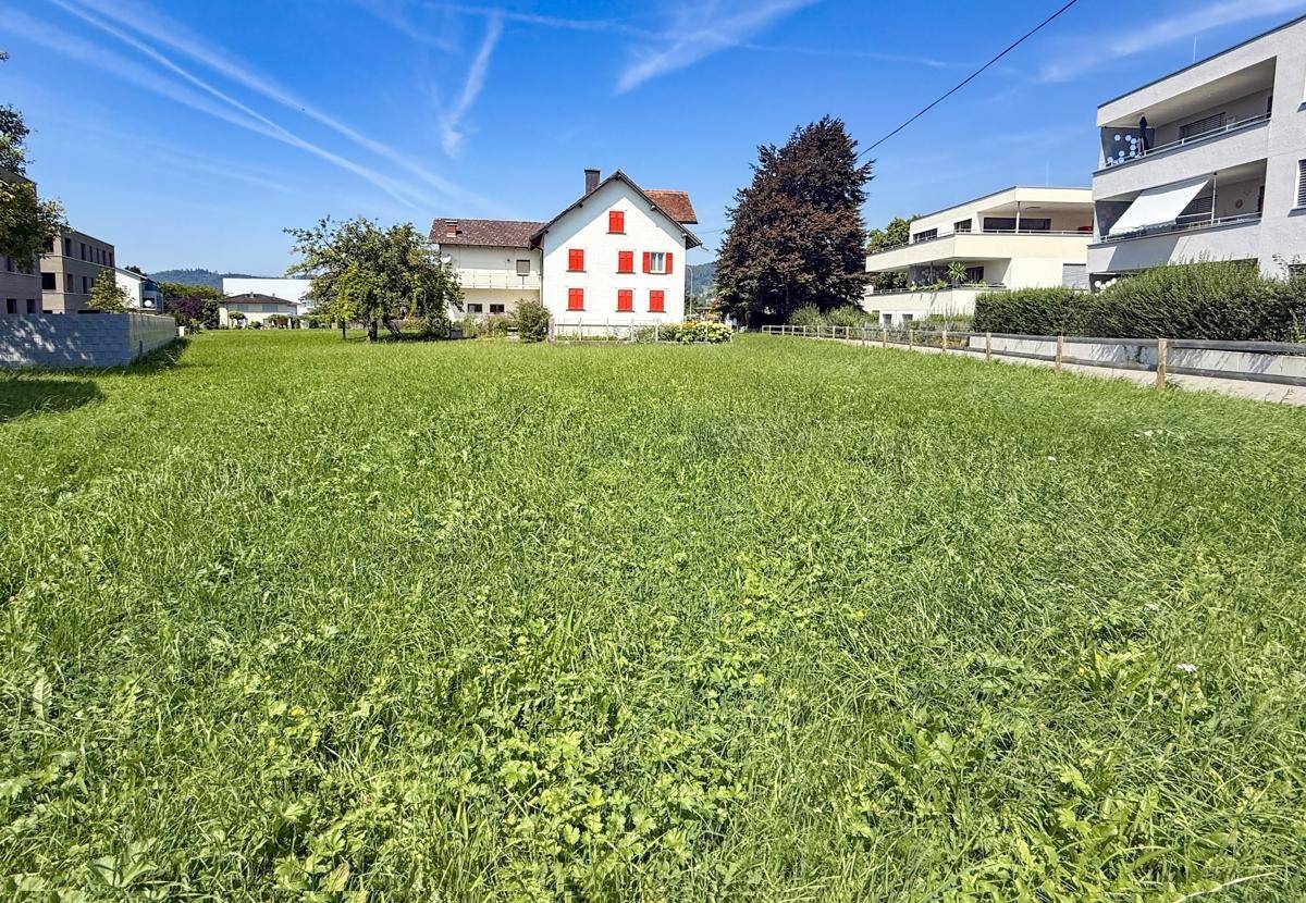 Grüne Wiese mit einem traditionellen Haus und modernen Wohngebäuden im Hintergrund, umgeben von Bergen.