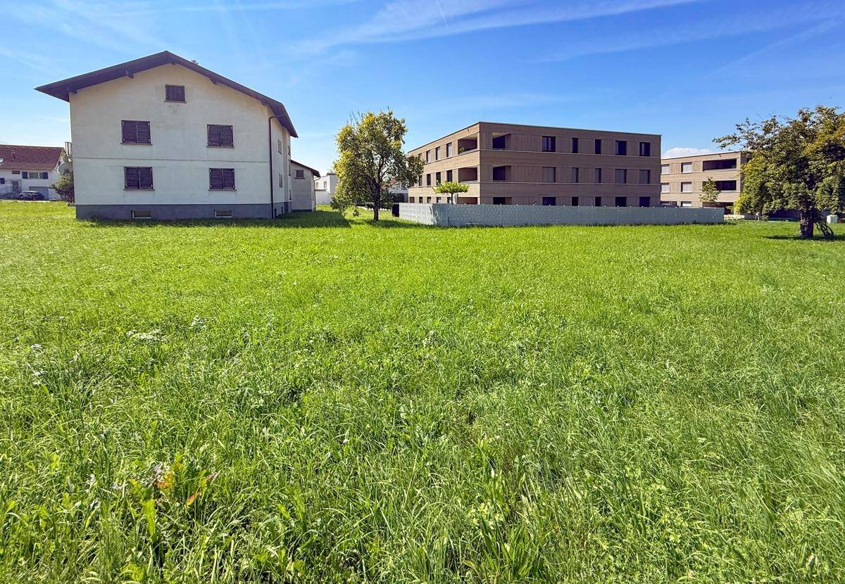 Weitläufige grüne Wiese mit einem traditionellen Haus und einem modernen Wohngebäude unter strahlend blauem Himmel.