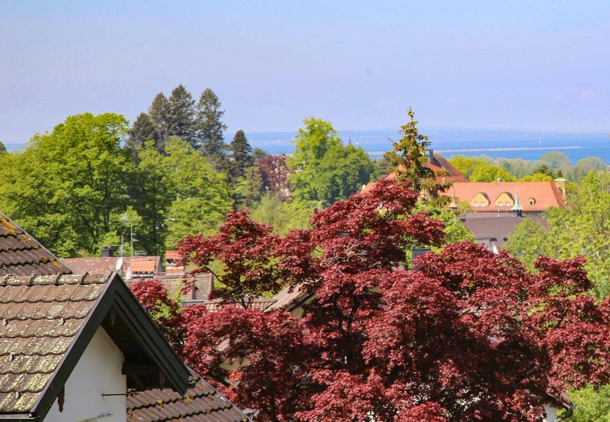 Aussicht über Dächer mit roten Bäumen und einem entfernten Blick auf den See.