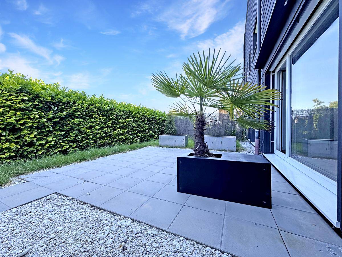 Gepflasterte Terrasse mit Hecke und Palmen, ideal für entspannte Stunden im Freien.