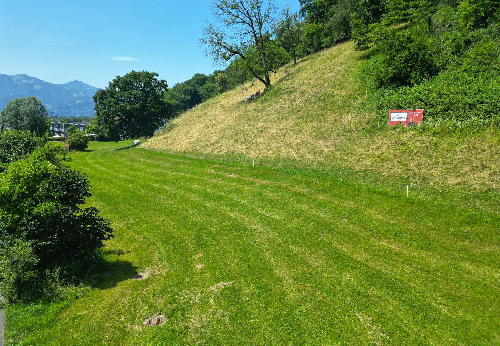 Großzügiges Grundstück am Sattelberg in Klaus – Natur, Ruhe und beste Anbindungen - Ansicht 5
